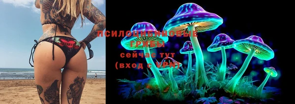 тгк Кодинск