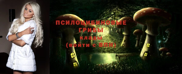 тгк Кодинск