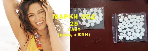 стаф Козловка
