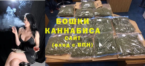 стаф Козловка