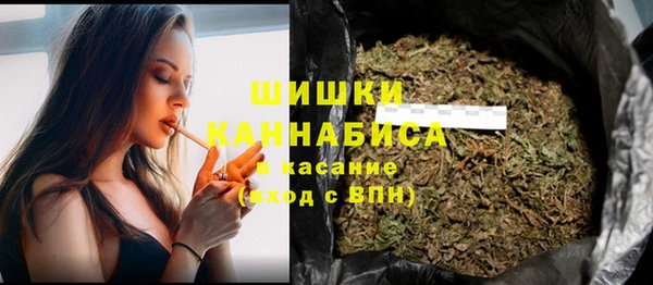 стаф Козловка