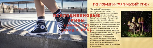 стаф Козловка