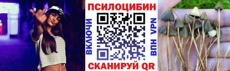 продажа наркотиков  mega зеркало  Псилоцибиновые грибы Psilocybine cubensis  Меленки 